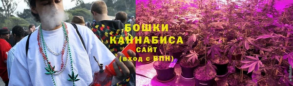шишки Богородск
