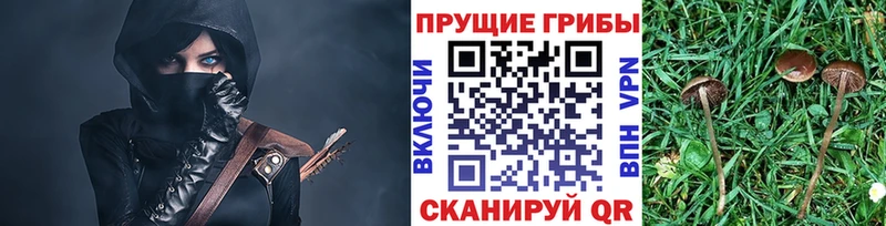 Псилоцибиновые грибы ЛСД  Купить где  Куртамыш 